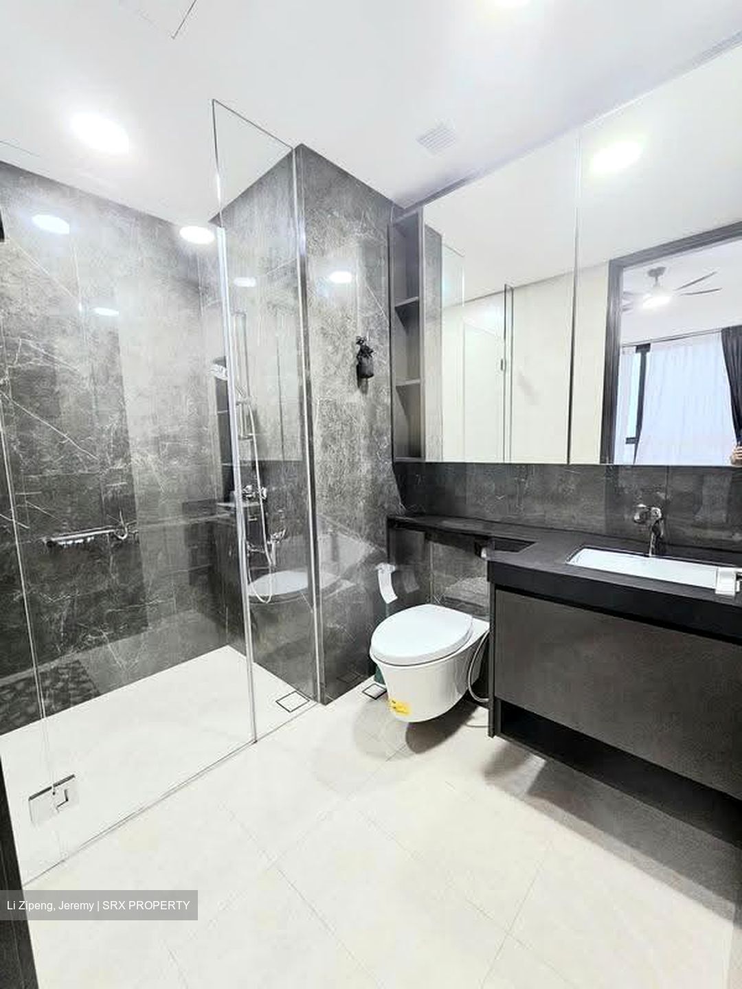 Parc Clematis (D5), Apartment #625570151